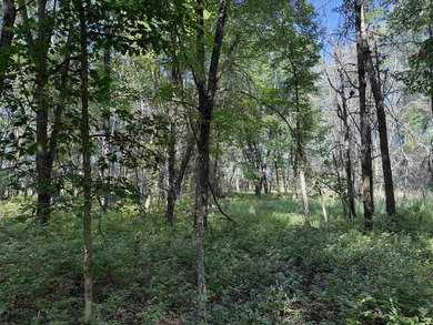 It is not often you can buy this much undeveloped land on a lake - photo 37