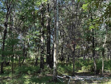 It is not often you can buy this much undeveloped land on a lake - photo 38