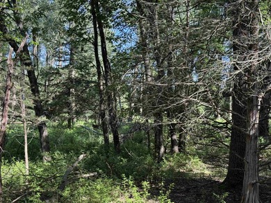 It is not often you can buy this much undeveloped land on a lake - photo 39