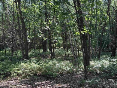 It is not often you can buy this much undeveloped land on a lake - photo 40