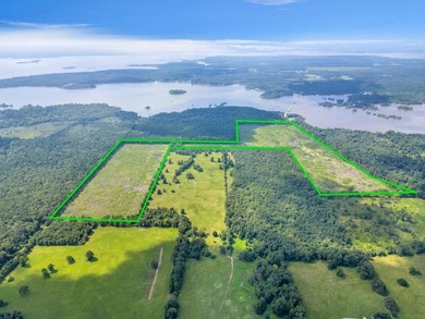 The 135.25-acre tract, recently planted with Elite Containerized - photo 1