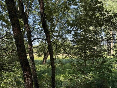 It is not often you can buy this much undeveloped land on a lake - photo 41