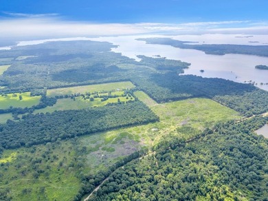 The 135.25-acre tract, recently planted with Elite Containerized - photo 2