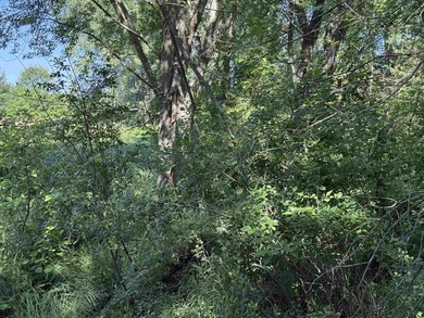 It is not often you can buy this much undeveloped land on a lake - photo 42