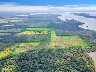The 135.25-acre tract, recently planted with Elite Containerized - photo 3