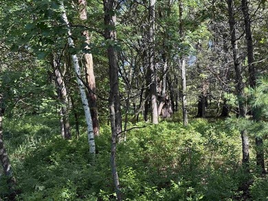 It is not often you can buy this much undeveloped land on a lake - photo 43