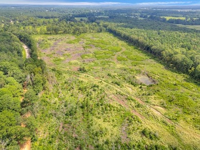 The 135.25-acre tract, recently planted with Elite Containerized - photo 4