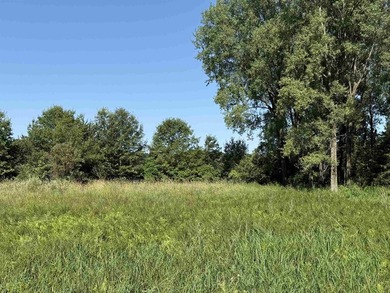 It is not often you can buy this much undeveloped land on a lake - photo 44