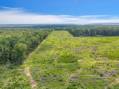 The 135.25-acre tract, recently planted with Elite Containerized - photo 5