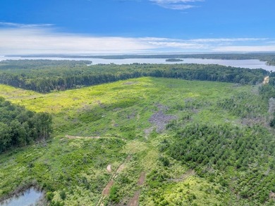 The 135.25-acre tract, recently planted with Elite Containerized - photo 6