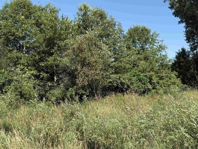 It is not often you can buy this much undeveloped land on a lake - photo 46