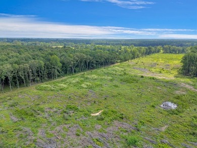 The 135.25-acre tract, recently planted with Elite Containerized - photo 7