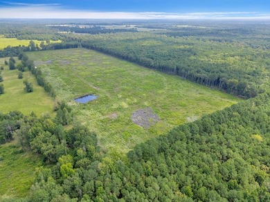 The 135.25-acre tract, recently planted with Elite Containerized - photo 8