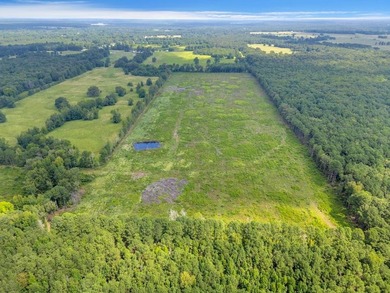 The 135.25-acre tract, recently planted with Elite Containerized - photo 9