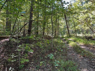 Watts Bar Lake Lot For Sale in Spring City Tennessee
