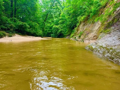 (private lake, pond, creek) Acreage For Sale in New Hebron Mississippi