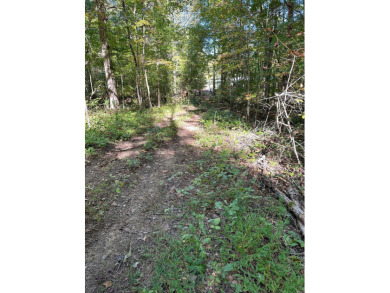 Watts Bar Lake Lot For Sale in Spring City Tennessee