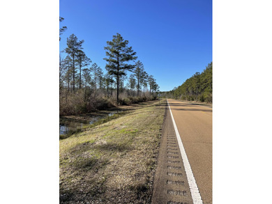 Pearl River Acreage For Sale in Columbia Mississippi