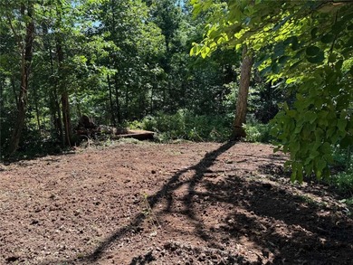 Beaver Lake Land with Private 30' x 20' Dock (Modification - photo 3