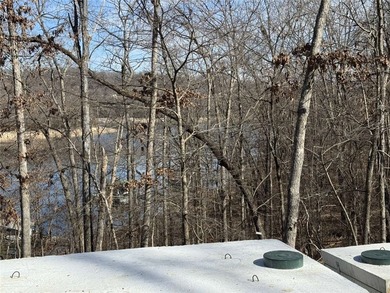 Beaver Lake Land with Private 30' x 20' Dock (Modification - photo 6