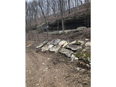 Beaver Lake Land with Private 30' x 20' Dock (Modification - photo 7