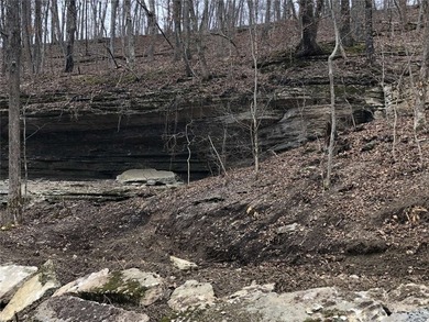 Beaver Lake Land with Private 30' x 20' Dock (Modification - photo 8