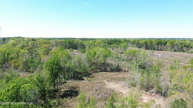 5+/- Acre Home Site with a Pond and Beautiful Shade Trees Good - photo 1