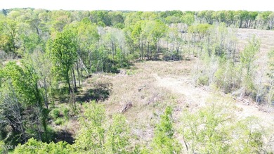 5+/- Acre Home Site with a Pond and Beautiful Shade Trees Good - photo 2