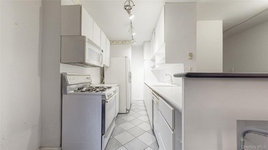 Spacious 1-Bedroom in the Heart of Forest Hills Welcome to The - photo 12