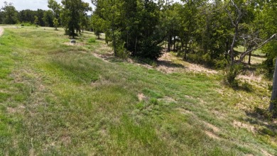 Beautiful hillside tract in Diamond Point - photo 2