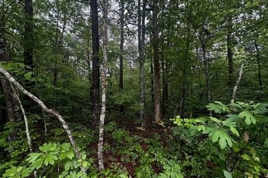 Welcome to Cumberland Lakes! This beautiful lot offers a great - photo 4
