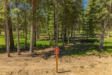 Discover one of Tamarack Resort's newest estate homesite - photo 5