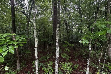 Welcome to Cumberland Lakes! This beautiful lot offers a great - photo 5