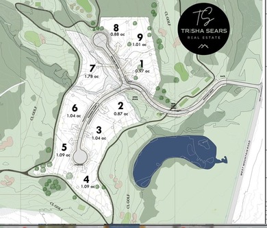 Discover one of Tamarack Resort's newest estate homesite - photo 7