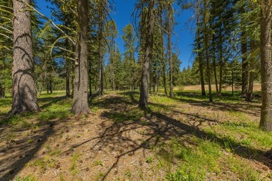 Discover one of Tamarack Resort's newest estate homesite - photo 8