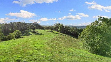 Discover 42 acres of prime, versatile land that offers the - photo 1
