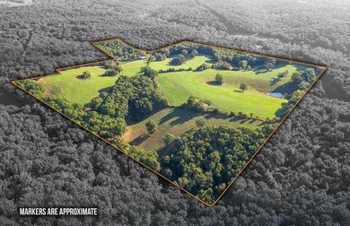 Discover 42 acres of prime, versatile land that offers the - photo 3