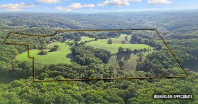 Discover 42 acres of prime, versatile land that offers the - photo 4