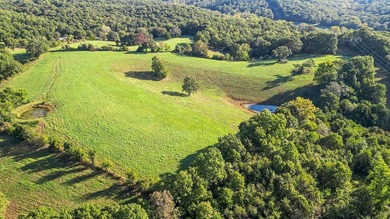 Discover 42 acres of prime, versatile land that offers the - photo 6