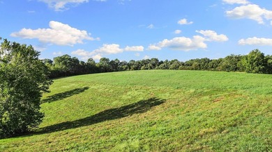 Discover 42 acres of prime, versatile land that offers the - photo 7