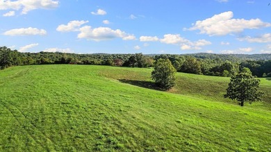 Discover 42 acres of prime, versatile land that offers the - photo 8