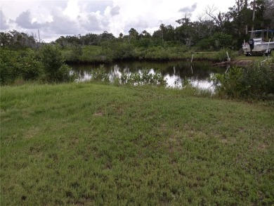 Saint Martins River Lot Sale Pending in Crystal River Florida