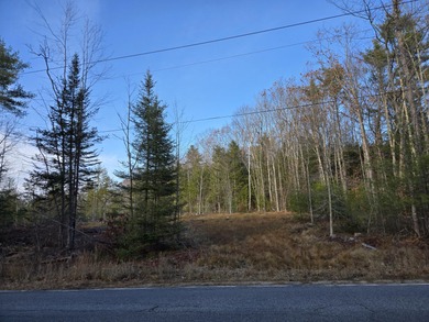 Rock Haven Lake Acreage For Sale in Newfield Maine
