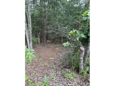Strom Thurmond / Clarks Hill Lake Lot For Sale in Mccormick South Carolina