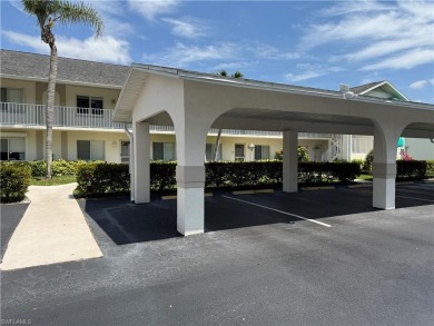 Lake Condo For Sale in Naples, Florida