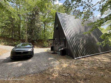 Natchez Retreat - Lakeside A-Frame Cabin 118 Turkey Creek Rd - photo 3