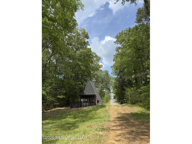 Natchez Retreat - Lakeside A-Frame Cabin 118 Turkey Creek Rd - photo 5