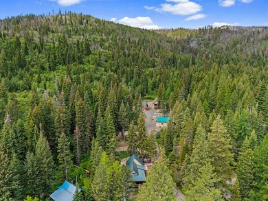 COZY MOUNTAIN COTTAGE NEAR LAKE CASCADE! Year round access on - photo 4
