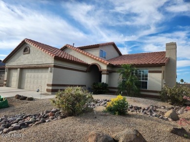 (private lake, pond, creek) Home For Sale in Sun Lakes Arizona