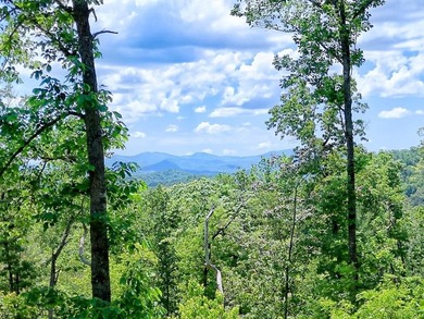 Discover your mountain paradise in the desirable Bryson Creek - photo 1